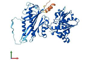 AlphaFold protein structure predicition of Human Recombinant UFSP2 Protein, UniprotID Q9NUQ7