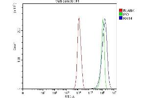 Flow Cytometry analysis of PC-3 cells using anti-RAI14 antibody (ABIN7601980). (RAI14 anticorps  (AA 53-680))