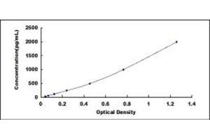 Typical standard curve (HIF1AN Kit ELISA)