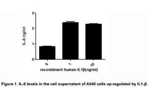 IL-1β (Interleukin-1 beta) is a proinflammatory and immunoregulatory cytokine involved in a variety of cellular activities.