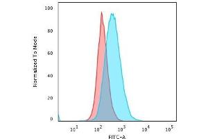Flow Cytometric Analysis of PFA-fixed Raji cells.