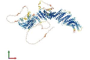 AlphaFold protein structure predicition of Human Recombinant EDRF1 Protein, UniprotID Q3B7T1