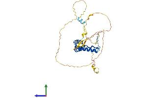 AlphaFold protein structure predicition of Human Recombinant SOX12 Protein, UniprotID O15370