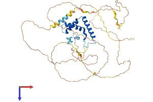 AlphaFold protein structure predicition of Mouse Recombinant Tcf7l2 Protein, UniprotID Q924A0