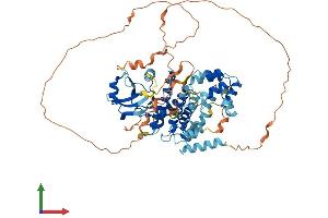 AlphaFold protein structure predicition of Human Recombinant IRAK2 Protein, UniprotID O43187