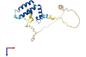 AlphaFold protein structure predicition of Human Recombinant DNAJC12 Protein, UniprotID Q9UKB3