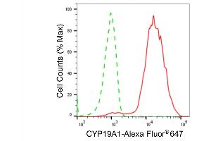 Flow cytometric analysis of CYP19A1 expression in HepG2 cells using CYP19A1 antibody (ABIN7798253), 1:2,000).