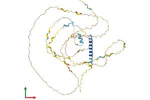 AlphaFold protein structure predicition of Human Recombinant C11orf96 Protein, UniprotID Q7Z7L8
