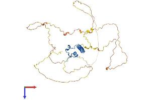 AlphaFold protein structure predicition of Human Recombinant DMRT1 Protein, UniprotID Q9Y5R6