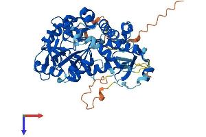 AlphaFold protein structure predicition of Mouse Recombinant Nt5dc1 Protein, UniprotID Q8C5P5