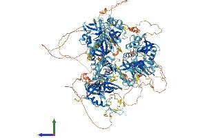 AlphaFold protein structure predicition of Mouse Recombinant Rnf17 Protein, UniprotID Q99MV7