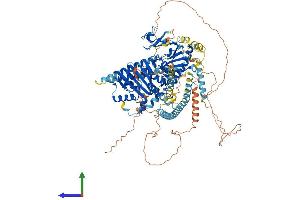 AlphaFold protein structure predicition of Human Recombinant MORC1 Protein, UniprotID Q86VD1