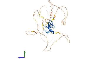 AlphaFold protein structure predicition of Mouse Recombinant Gata4 Protein, UniprotID Q08369