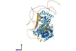 AlphaFold protein structure predicition of Mouse Recombinant Atp2b4 Protein, UniprotID Q6Q477