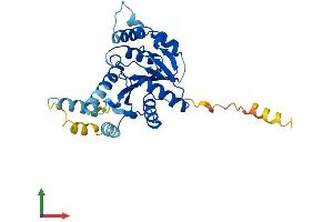 AlphaFold protein structure predicition of Mouse Recombinant Gpn3 Protein, UniprotID Q9D3W4