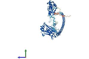 AlphaFold protein structure predicition of Human Recombinant TRAF3 Protein, UniprotID Q13114