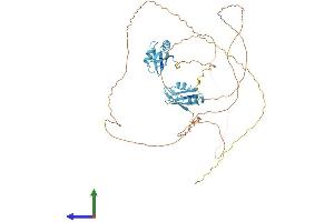 AlphaFold protein structure predicition of Human Recombinant SRSF4 Protein, UniprotID Q08170