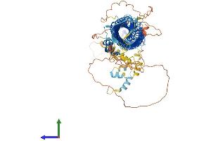 AlphaFold protein structure predicition of Human Recombinant FBXO10 Protein, UniprotID Q9UK96