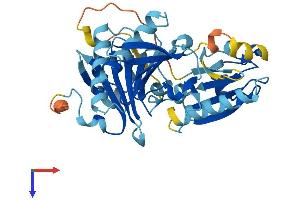 AlphaFold protein structure predicition of Mouse Recombinant Capg Protein, UniprotID P24452
