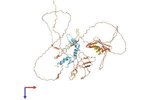 AlphaFold protein structure predicition of Human Recombinant SP2 Protein, UniprotID Q02086