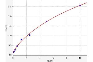 Typical standard curve (DDR2 Kit ELISA)