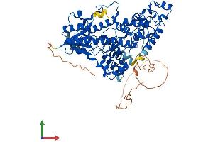 AlphaFold protein structure predicition of Mouse Recombinant Cry2 Protein, UniprotID Q9R194