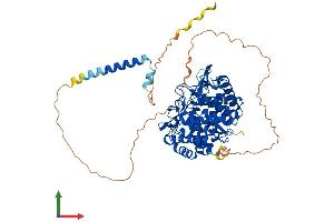 AlphaFold protein structure predicition of Mouse Recombinant Man1b1 Protein, UniprotID A2AJ15