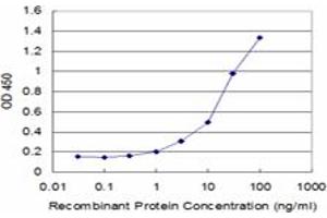 Detection limit for recombinant GST tagged LAIR1 is approximately 1ng/ml as a capture antibody. (LAIR1 anticorps  (AA 188-287))