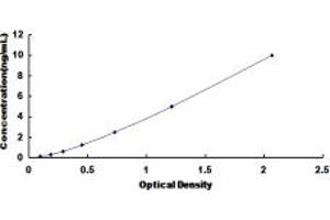 Typical standard curve (MAF Kit ELISA)