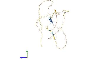 AlphaFold protein structure predicition of Mouse Recombinant Jsrp1 Protein, UniprotID Q3MI48
