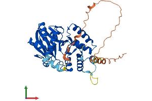AlphaFold protein structure predicition of Human Recombinant PNKD Protein, UniprotID Q8N490