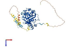AlphaFold protein structure predicition of Mouse Recombinant Mettl14 Protein, UniprotID Q3UIK4