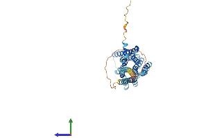 AlphaFold protein structure predicition of Human Recombinant HRH4 Protein, UniprotID Q9H3N8