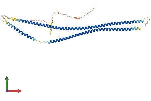 AlphaFold protein structure predicition of Mouse Recombinant Krt19 Protein, UniprotID P19001
