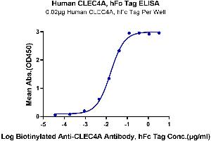 Immobilized Human CLEC4A, hFc Tag at 0. (CLEC4A Protein (AA 70-237) (Fc Tag))