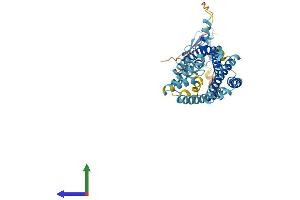 AlphaFold protein structure predicition of Mouse Recombinant Crhr2 Protein, UniprotID Q60748
