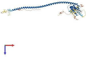 AlphaFold protein structure predicition of Human Recombinant ATG14 Protein, UniprotID Q6ZNE5