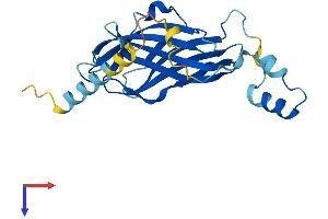 AlphaFold protein structure predicition of Mouse Recombinant Arhgdig Protein, UniprotID Q62160