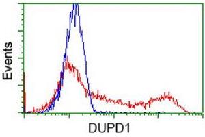 Flow Cytometry (FACS) image for anti-Dual Specificity Phosphatase and Pro Isomerase Domain Containing 1 (DUPD1) antibody (ABIN1497928) (DUPD1 anticorps)