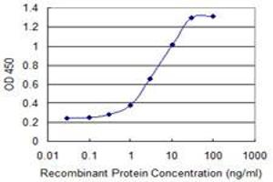 Detection limit for recombinant GST tagged ASAH1 is 0. (ASAH1 anticorps  (AA 25-124))