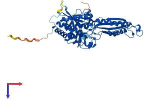 AlphaFold protein structure predicition of Human Recombinant PM20D2 Protein, UniprotID Q8IYS1