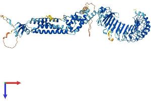AlphaFold protein structure predicition of Human Recombinant LRRC8C Protein, UniprotID Q8TDW0