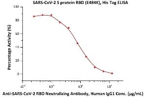 Serial dilutions of A-CoV-2 RBD Neutralizing Antibody, Human IgG1 (SAD-S35) were added into SARS-CoV-2 S protein RBD (E484K), His Tag (ABIN6973226): Biotinylated Human ACE2, His,Avitag (ABIN6952428,ABIN6952431) binding reactions.