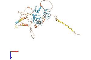 AlphaFold protein structure predicition of Mouse Recombinant Fezf1 Protein, UniprotID Q0VDQ9