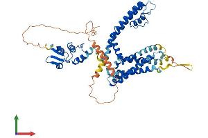 AlphaFold protein structure predicition of Mouse Recombinant Kcna1 Protein, UniprotID P16388