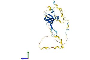 AlphaFold protein structure predicition of Human Recombinant SNRPB Protein, UniprotID P14678