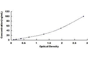 Typical standard curve (GPI Kit ELISA)