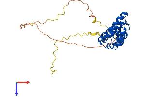 AlphaFold protein structure predicition of Mouse Recombinant Rgs18 Protein, UniprotID Q99PG4