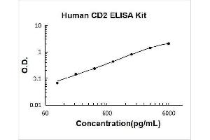 CD2 (CD2) ELISA Kit