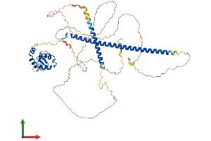 AlphaFold protein structure predicition of Human Recombinant RNF168 Protein, UniprotID Q8IYW5